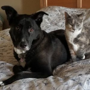 Meet your Posher, Linda